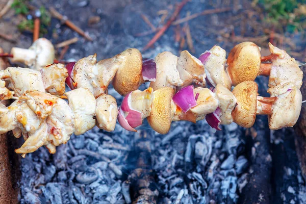 Kebab Shish Grillé Aux Champignons Sur Les Charbons Feu Camp — Photo