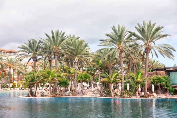 Palmiers Piscine Dans Complexe Hôtelier Luxe Sur Une Île Tropicale — Photo