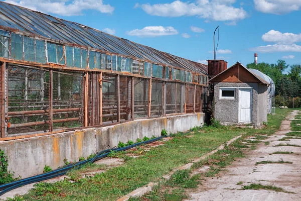 Opuszczone Szklarnie Wiosce Strefa Wykluczenia Czarnobylu Ukraina — Zdjęcie stockowe