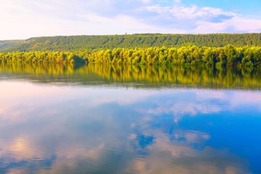 Sabah nehir ve ormanla güzel bir yaz manzarası