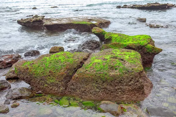 Rocha Coberta Musgo Verde Costa Oceano Atlântico Portugal — Fotografia de Stock