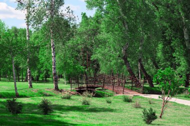 Spring Park 'taki yaya köprüsü. Yeşil çimenler ve ağaçlarla kaplı bahar manzarası. Parkta yaya köprüsü olan yürüyüş yolu 