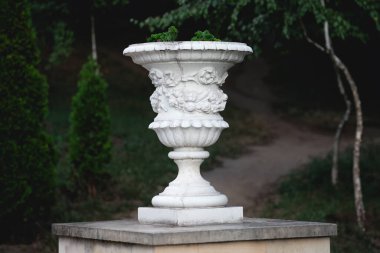 Süs bahçesinde beyaz vazo. Şehir parkında dekoratif vazo