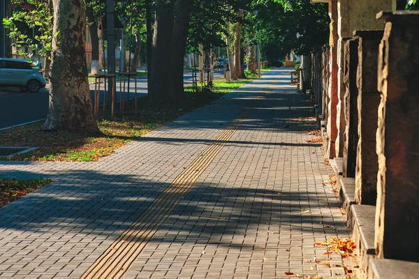 Güneşli bir sonbahar gününde şehir parkında kaldırım.