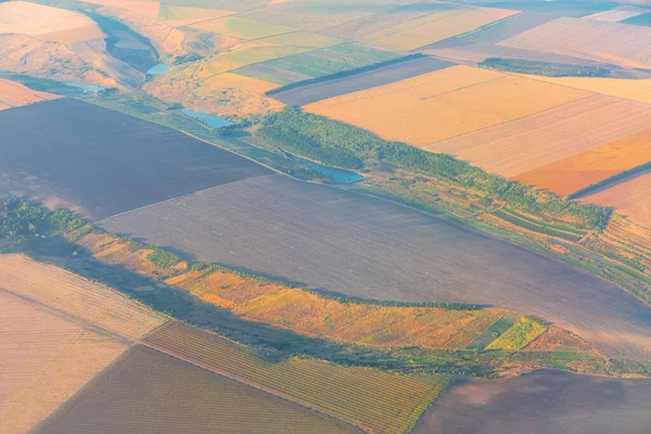 Аерофотозйомка Сільськогосподарських Полів Луків Вид Зверху Оранжені Землі — стокове фото