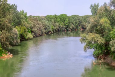 Nehir ve orman. Arka planda nehir ve orman olan doğa bileşimi