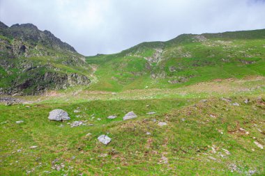 Romanya 'nın Fagaras dağlarındaki dağlar ve yeşil çayırlar