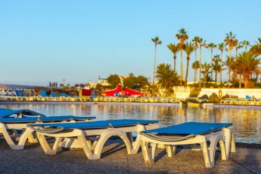 Yüzme havuzunun arka planında güneşlenirler.