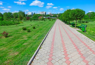 Yeşil çimenler ve mavi gökyüzü arkaplan ile parkta yürüyüş