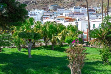 Gran Canaria şehri, Kanarya Adaları, İspanya