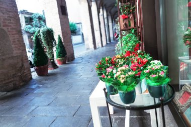 Çiçek süslemeli koridor. İtalya 'nın Padua şehrinde Sokak Kemeri 