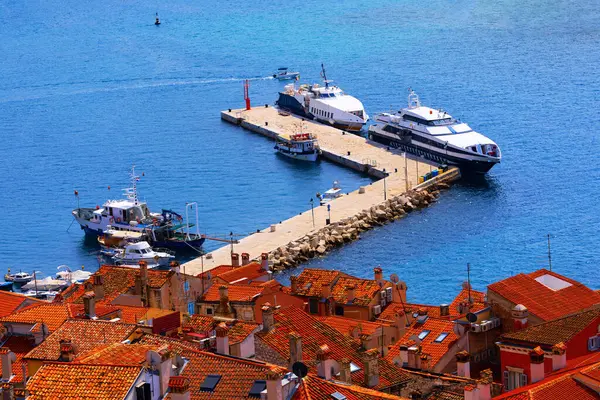 stock image Scenic harbor in Rovinj with tiled roofs overlooking the Adriatic Sea. Bay creating a scene of idyllic beauty