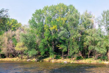 Serene nehri yemyeşil bir ormandan akıyor. Doğanın güzelliğinin huzur manzarası.