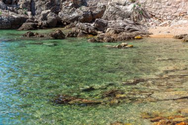Sakin turkuaz suyu olan kayalık bir sahil. Şeffaf deniz suyu manzarası 