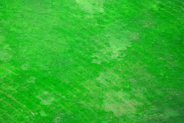 Canlı yeşil çimen dokusu, büyüleyici doğal arkaplan