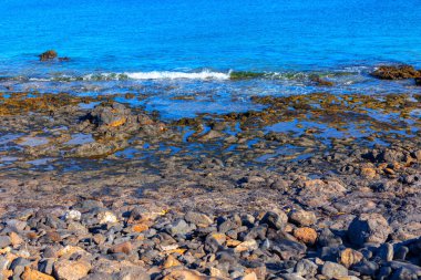 Arka planda su birikintisi olan Rocky plajı. Kayalar sahile dağılmış, engebeli ve doğal bir manzara yaratıyorlar. Su sakin ve sakin görünüyor.