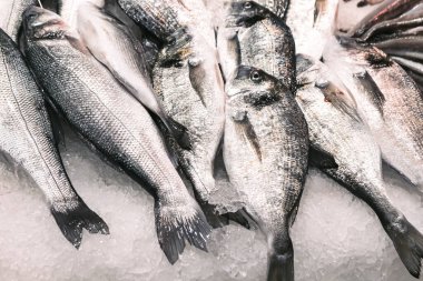 Deniz ürünleri pazarında buzda taze balık. Balıkların hepsi aynı boyda ve şekillerde.