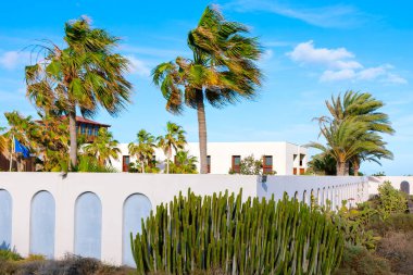 Ön planda beyaz bina ve palmiye ağaçları olan tropik bir manzara. Kaktüs ve palmiye ağaçları beyaz bir binanın önünde.