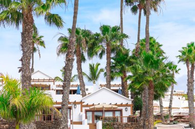 Palmiye ağaçları turizm beldesinin önünde sıraya dizildi. Evlerin hepsi beyaz ve mavi süslemeli. Palmiye ağaçları uzun ve yapraklıdır. Tropikal bir atmosfer yaratırlar.