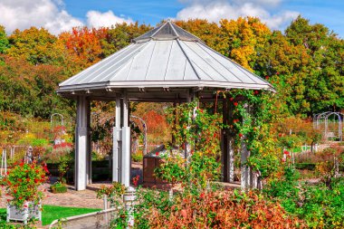 Kubbeli çardak süs bahçesiyle çevrili. Sonbahar parkı renkli çiçek ve bitkilerle doludur.
