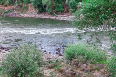 Kayalık bir kıyı şeridi ve arkasında ağaçlar olan bir nehir. Su dalgalı ve kayalar kıyı boyunca dağılmış.