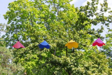 Yeşil bir ağaçtaki kablodan sarkan renkli lambalar. Yaz parkında canlı ve neşeli bir atmosfer.