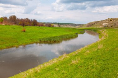 Yeşil çimenli bir bankası olan nehir. Bereketli yeşil arazide akan manzara nehri. Doğal manzara huzurlu ve huzurlu.