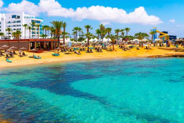 Kıbrıs Rum Kesimi 'nden Ayia Napa' da palmiye ağaçları olan temalı kumlu plaj. Deniz suyu berrak ve mavidir ve sahil kalabalık ve hareketlidir. Nissi Plajı Yazın