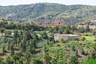 Palmiye ağaçları ve uzakta küçük bir köyü olan yemyeşil yamaç, Gran Kanarya, Kanarya Adaları. Sahne huzurlu ve sakin, arka planda dağlar sükunet duygusunu artırıyor.