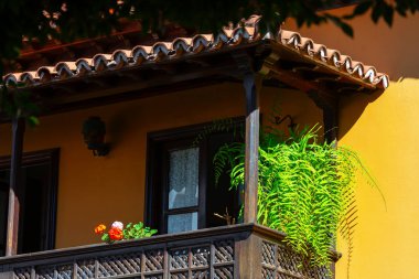 Ahşap balkon canlı yeşil bir bitki ile süslenmiş, kentsel bir ortamda doğaya bir dokunuş sunuyor. Balkon, dış tarafı sarı olan bir binada.