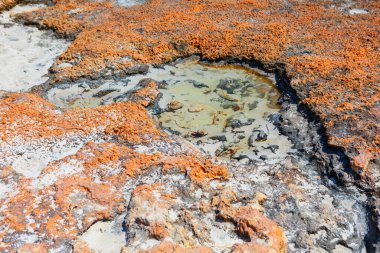 Ortasında küçük bir su havuzu olan kayalık bir bölge. Mamut Kaplıcaları, Yellowstone Ulusal Parkı, Wyoming, ABD. Havuzun etrafındaki kayalar pürüzlü ve pürüzlü.