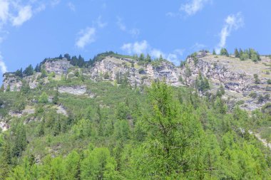 Görkemli dağ, doğanın bir karışımını sergiliyor. Açık mavi gökyüzü ve ağaçları olan bir dağ.