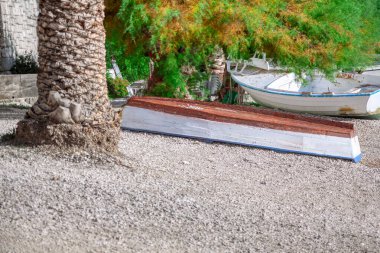Tekne bir palmiye ağacının yanında yerde oturuyor. Toprak teknesi bir ağacın yanına yerleştiriliyor ve sakin bir açık hava manzarası yaratıyor.