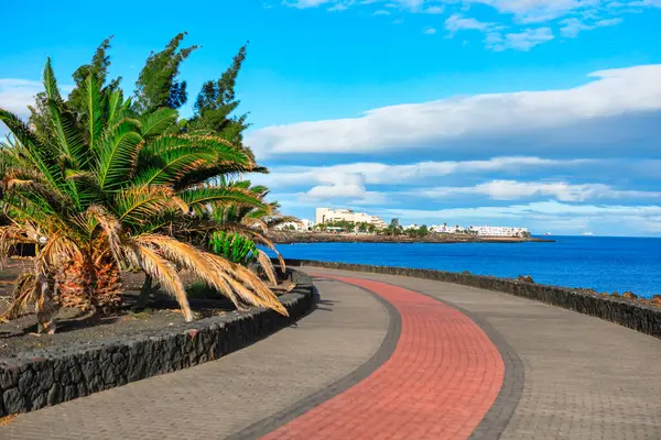 Okyanusa uzanan palmiye ağaçlarıyla dolu manzaralı bir yol. Lanzarote, Kanarya Adaları 'ndan Costa Teguise' de kaldırım