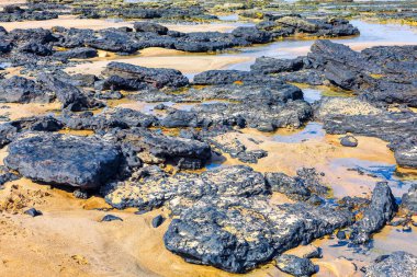 Kumda sahil taşları. Büyük Kanarya 'daki Atlantik Okyanusu kıyısındaki volkanik kayalar