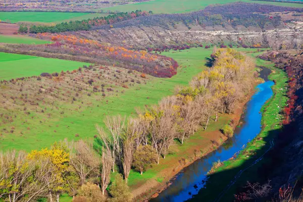 Bereketli bir vadiden akan sakin bir nehir, canlı ağaçlar ve yeşil otlarla çevrili. Moldova 'dan Orheiul Vechi' deki Raut Nehri Vadisi