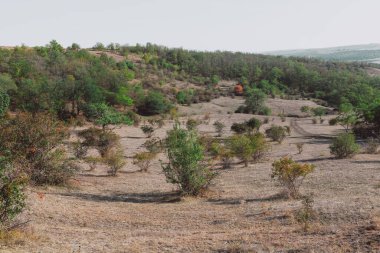 Nadir bitki örtüsüyle kuru tepe manzarası. Arazide dağınık çalılar ve küçük ağaçlar var, arka planda daha yoğun bir orman alanı var. Doğa karşıtlığını vurgulayan yarı kurak bölge