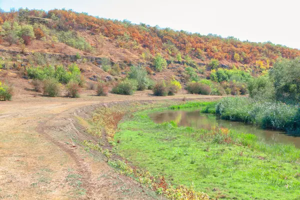 Yeşil ve sonbahar renklerinde yeşilliklerle kaplı hafif eğimli bir tepenin olduğu manzara. Ön planda, dar bir dereye bitişik yemyeşil bir alanın yanında dolambaçlı toprak bir yol var.