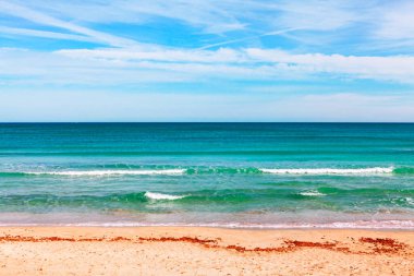 Mallorca 'da Alcudia Körfezi' ndeki plaj. Sahil manzarası berrak mavi gökyüzü, yumuşak dalgalar ve kumlu bir sahil. Turkuaz suyun ve gökyüzünün canlı renkleri onu sakin ve rahatlatıcı yapıyor.