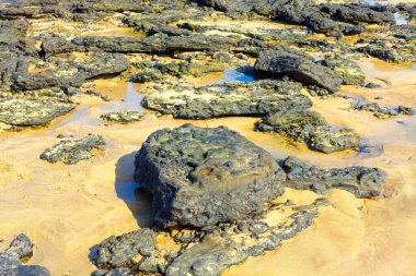 Kumsalda kumlu yüzeye dağılmış sayısız koyu şekilli kayalar var. Koyu kayalar ve açık kum, doğal jeolojik oluşumları vurgulayan ilginç bir görsel doku oluşturur.