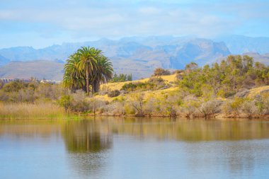 Sakin göl manzarası ve kıyı şeridi boyunca palmiye ağaçları ve çeşitli çalılar. Yuvarlanan tepeler ve uzak dağlarla arka plan resim gibi ve sakin bir manzara yaratıyor.