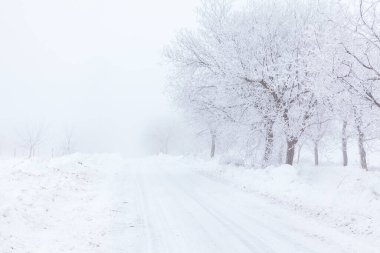 Ağaçlarla çevrili, karla kaplı bir yolu olan sakin kış manzarası. Yoğun kar yağışıyla örtülü. Sahne sakinlik ve sükunet yayar, huzurlu bir kış gününün özünü yakalar.