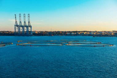 Gün batımında endüstriyel liman siluetine karşı kurulmuş durgun sularda yüzen dairesel balık ağıllarıyla sahil su tarlası. Denizcilik, su ürünleri veya endüstriyel hisse senetleri için idealdir. Malta deniz manzarası