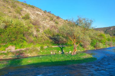 Çimenli bir alanda akan suyla çevrili sakin bir nehir manzarası. İlkbaharda eğimli yamaçlar yeşil çalıların ve ağaçların çeşitli tonlarıyla kaplanarak en tepeye kadar uzanır. 