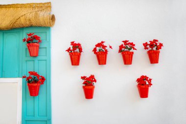 Çiçekli kırmızı saksılar turkuaz pencerenin yanında beyaz bir duvar süsler ve çarpıcı bir kontrastlık yaratır. Çekici Akdeniz tarzı. Taze, renkli ve sanatsal tasarımı var.