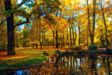 Sonbahar parkı sahnesi, canlı bir sonbahar yeşilliği. Sakin bir park gölündeki ağaçların yansımaları