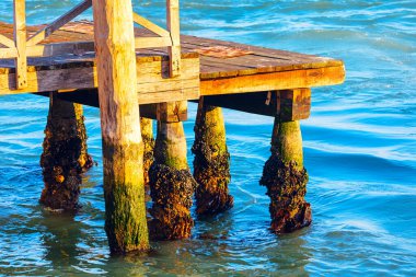 Yıpranmış ahşap iskele, direkleri kısmen dingin suya batırılmış ve alg ve midye karışımıyla kaplanmış. Sahne, insan yapısı ile deniz ortamı arasında sürekli bir bağlantı olduğunu vurguluyor