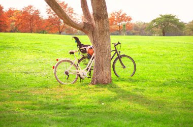 Canlı sonbahar yapraklarıyla çevrili, yemyeşil bir parkta, bir ağaca yaslanmış iki bisiklet. Büyük bir ağacın gölgesinde yemyeşil bir alanda park halindeki bisikletlerin sakin manzarası.