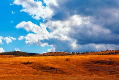 Yükselen bulutlarla dolu dramatik bir gökyüzü altında uzak tepelere doğru uzanan engin altın tarlalar. Kuru bir otlağın güneşli, sakin manzarası, parçalı bulutlu bir gökyüzünün arkaplanı.