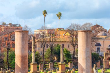 Roma Forumu 'nun çimenli bölgesinde antik taş sütunlar duruyor, harabeler ve tarihi binalarla çevrili. Geçmişe bir göz atalım. Roma İmparatorluğu 'nun yıpranmış taşları arasında tarih fısıldar.